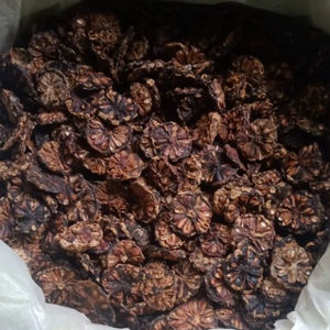 Kelor Atasi Obesitas