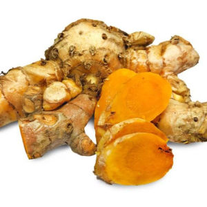 Kelor Atasi Obesitas